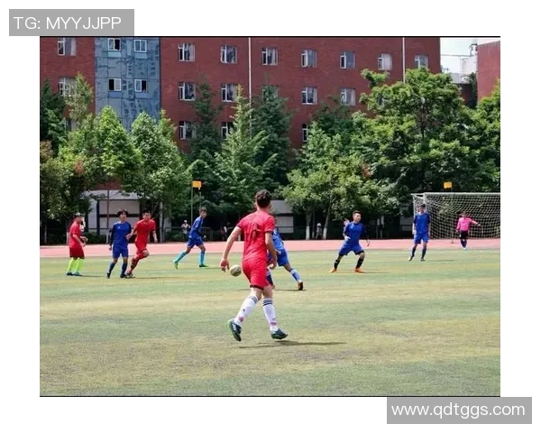 深圳排球队边路渗透战术解析与深度剖析