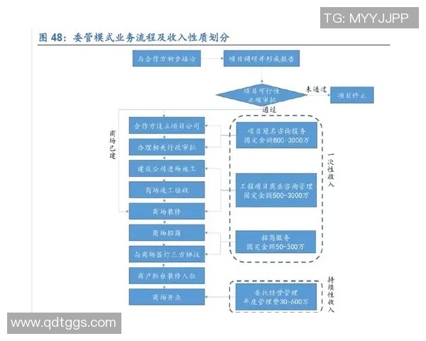 探索上海篮球队的运营模式与发展策略深度解析